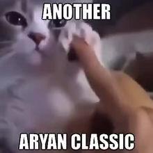 360x360