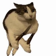 498x498