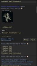 720x1266