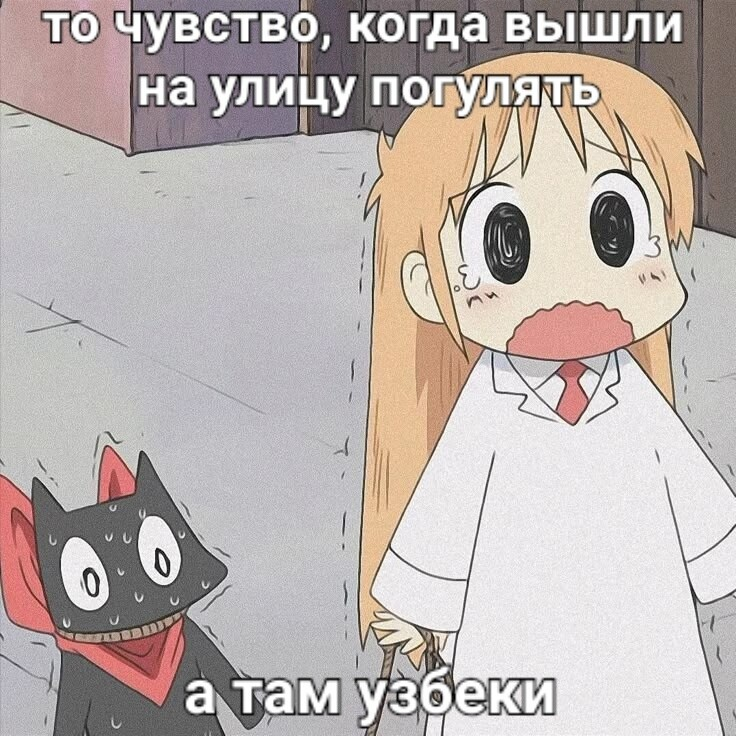 736x736