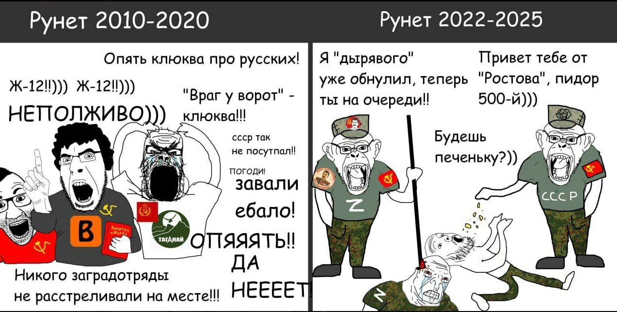 1273x644