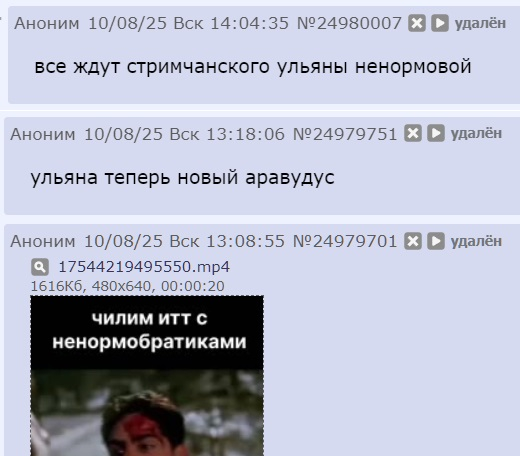 520x456