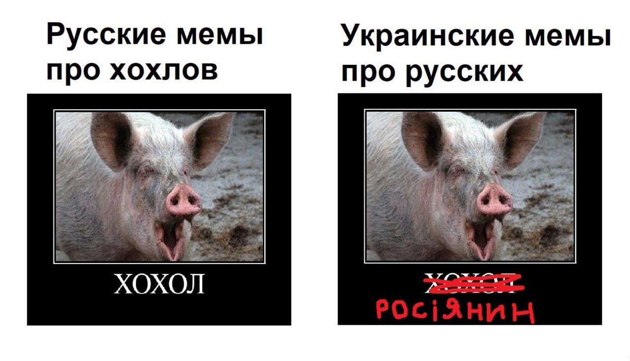 1280x734