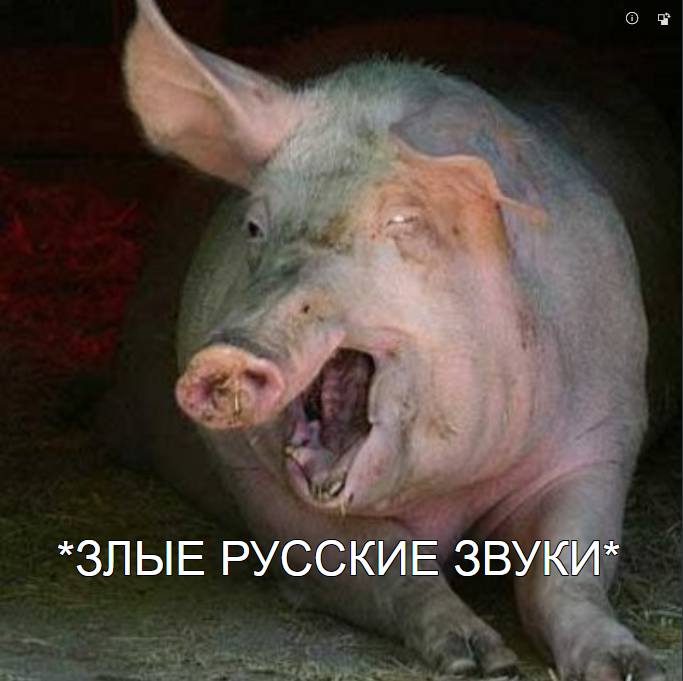 683x681