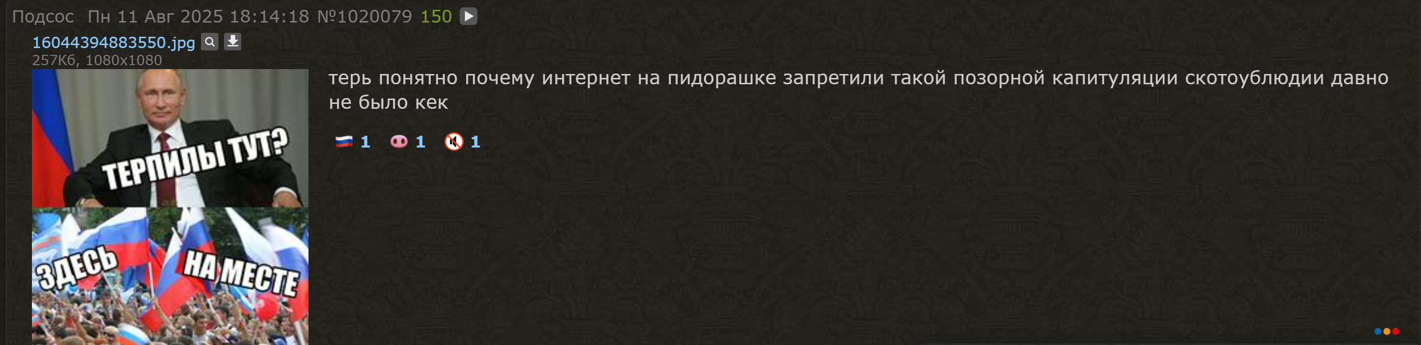 2893x704