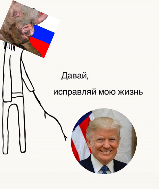 520x617