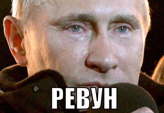 540x373