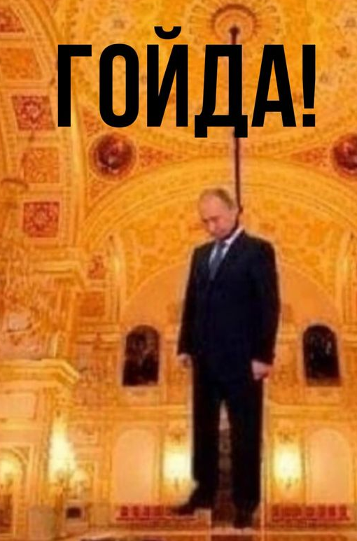 510x773