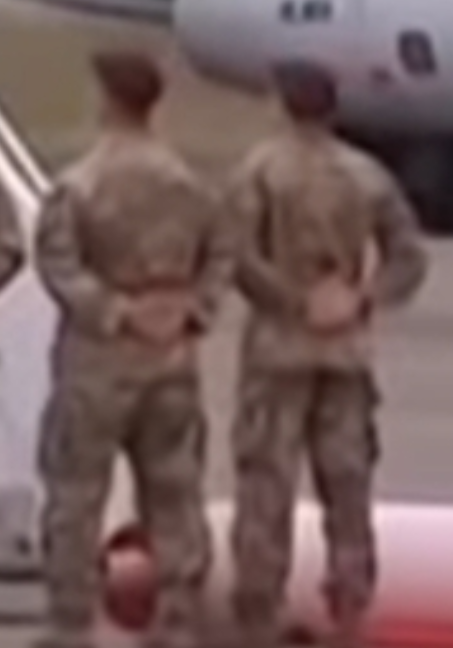 453x648