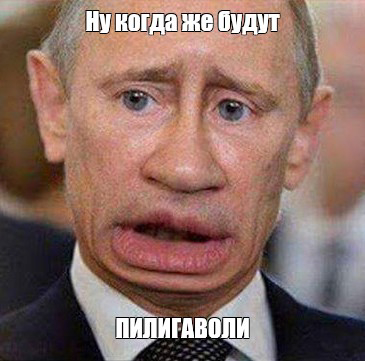 365x361