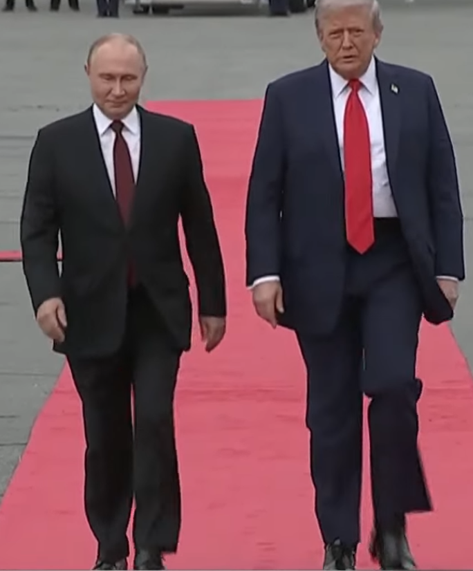 684x826