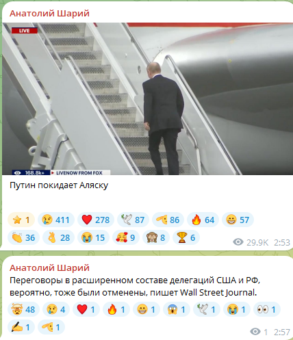 428x497