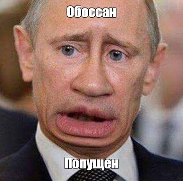 365x360