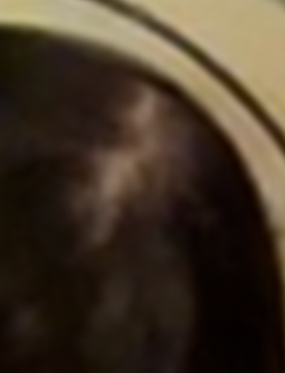404x529
