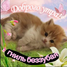 282x281