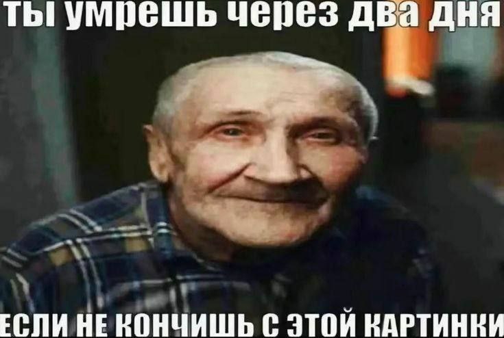 735x494