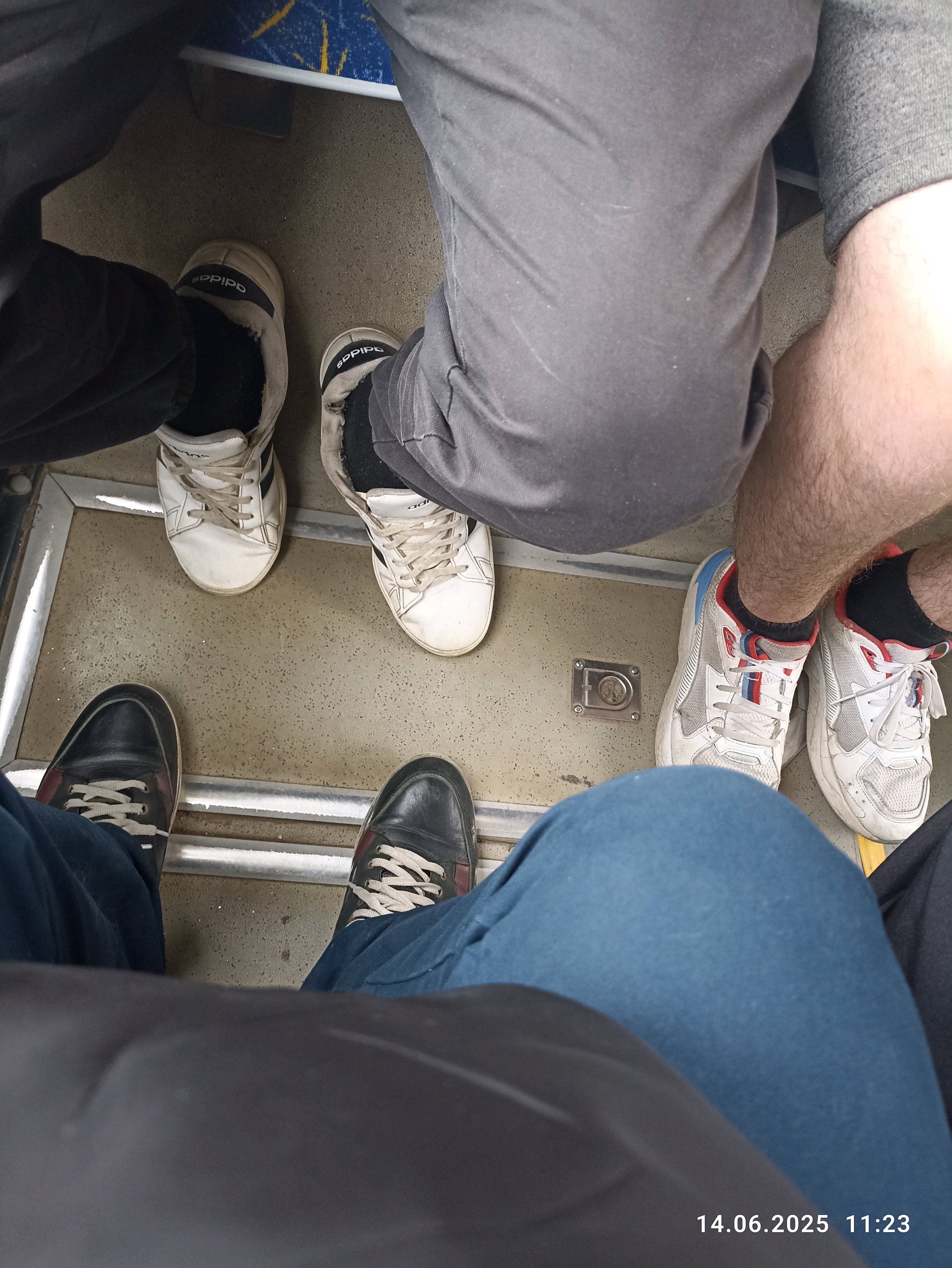 2048x2727