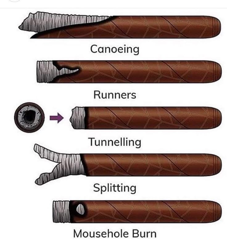 736x787