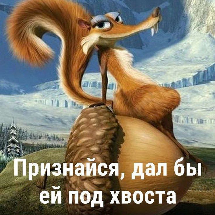 736x736