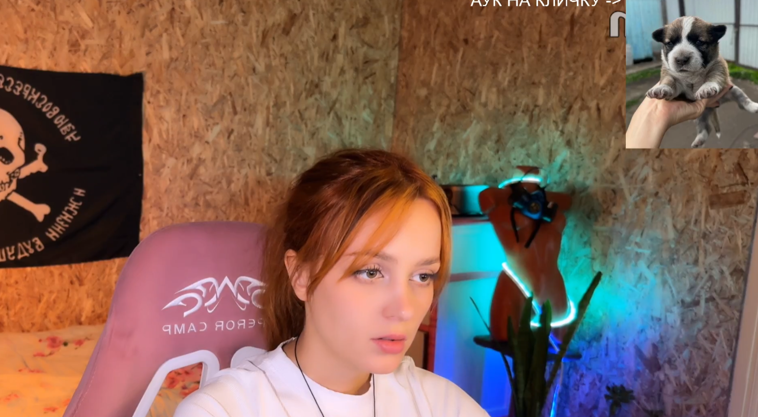 1543x849