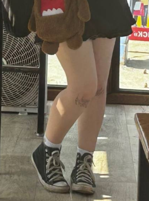 604x817