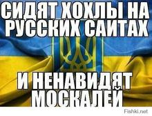 492x377