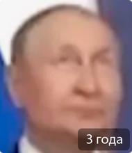 312x361