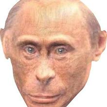 360x360