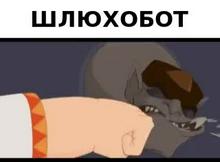 320x236