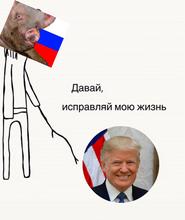 520x617