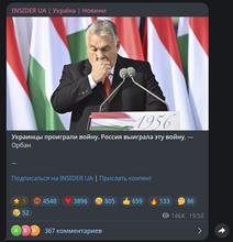 619x644