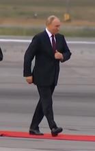 433x684