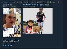 497x368