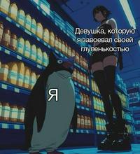 606x664