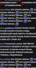 251x466
