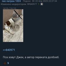 975x973