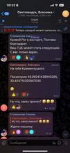 590x1280