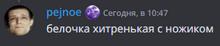290x61