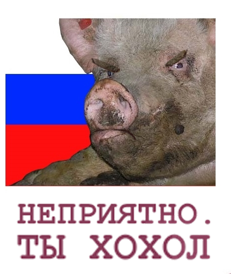 464x552