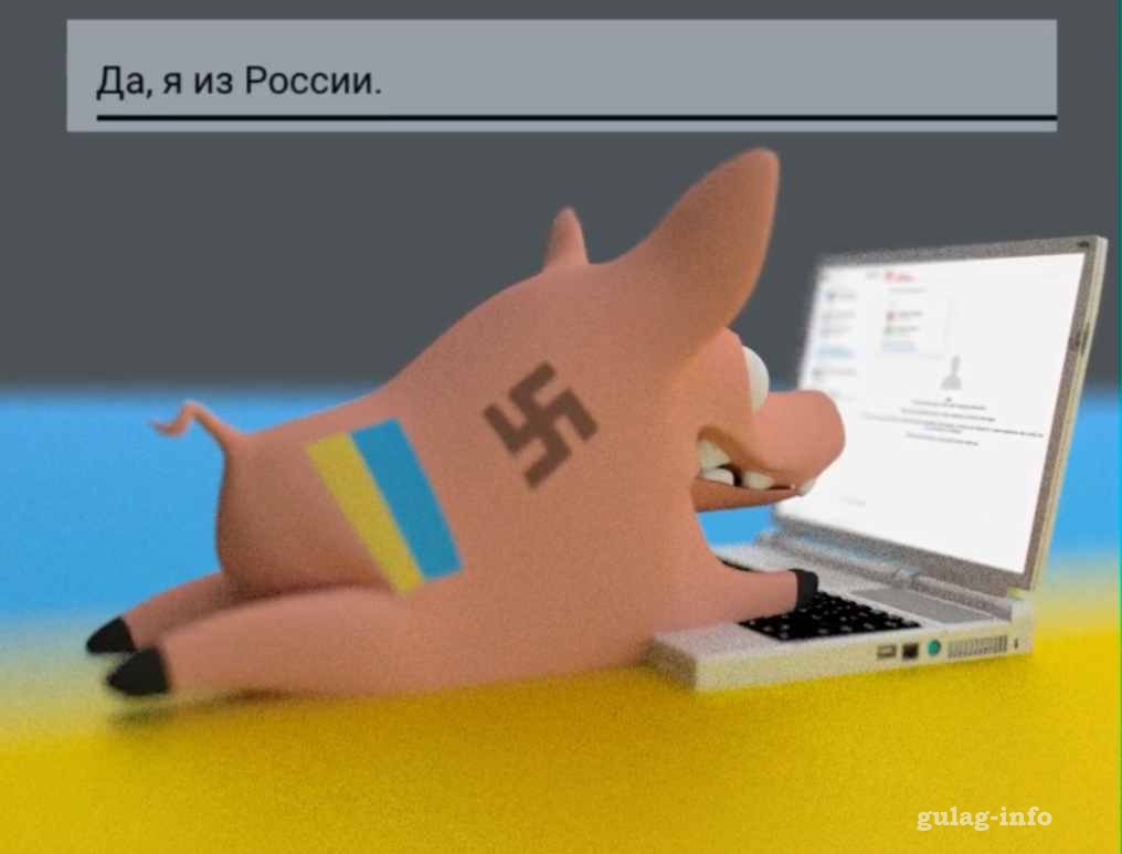 1016x773